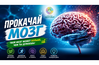 Прокачай свой мозг!